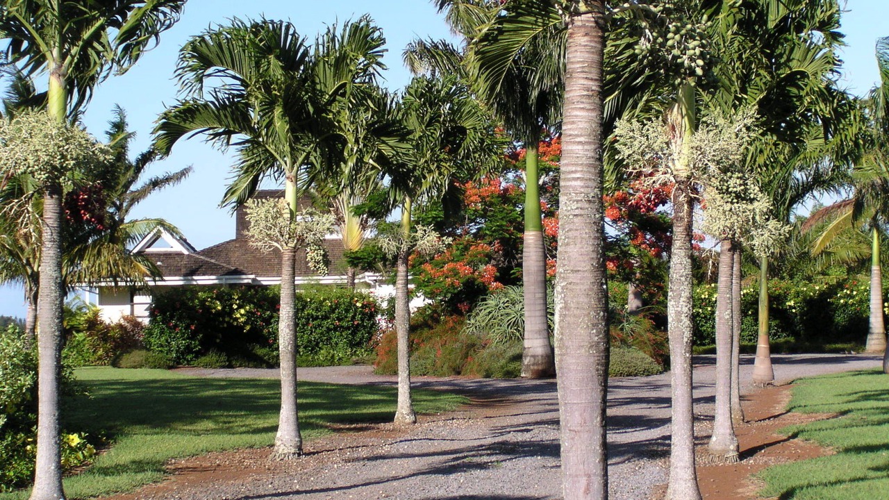 Photo of Others in Pauwela