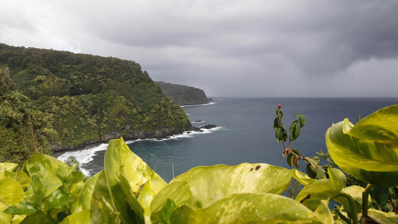 Photo of Others in Pauwela