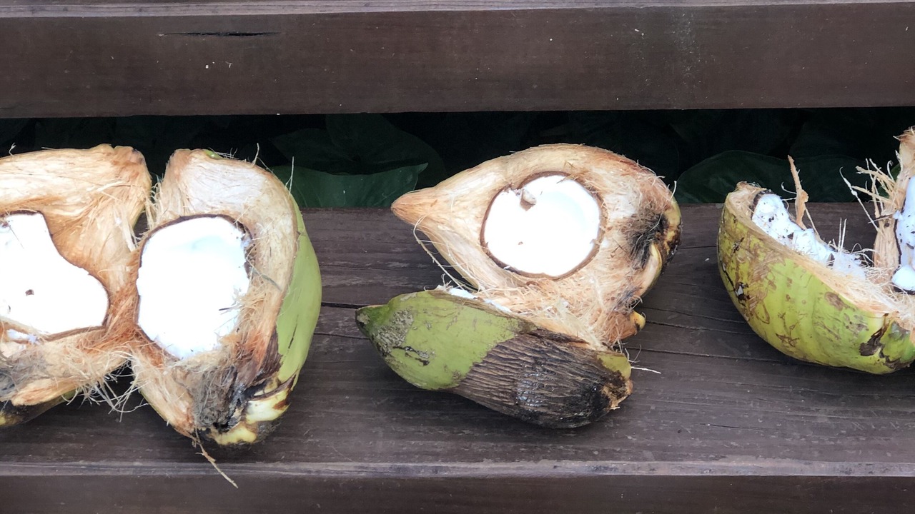 Photo of Others in Pauwela