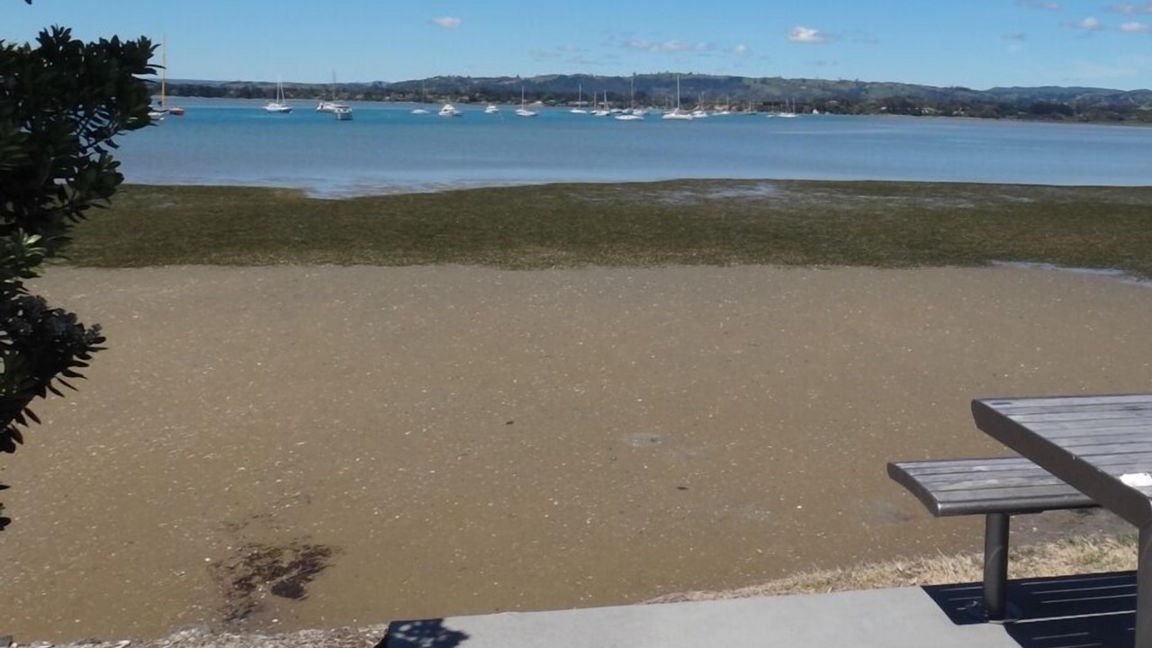 Photo of Others in Omokoroa