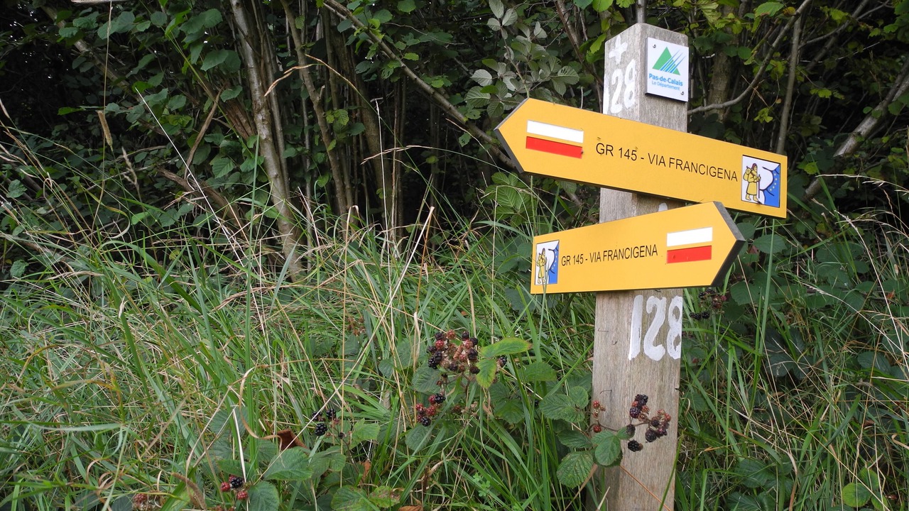 Photo of Outdoor in Widehem