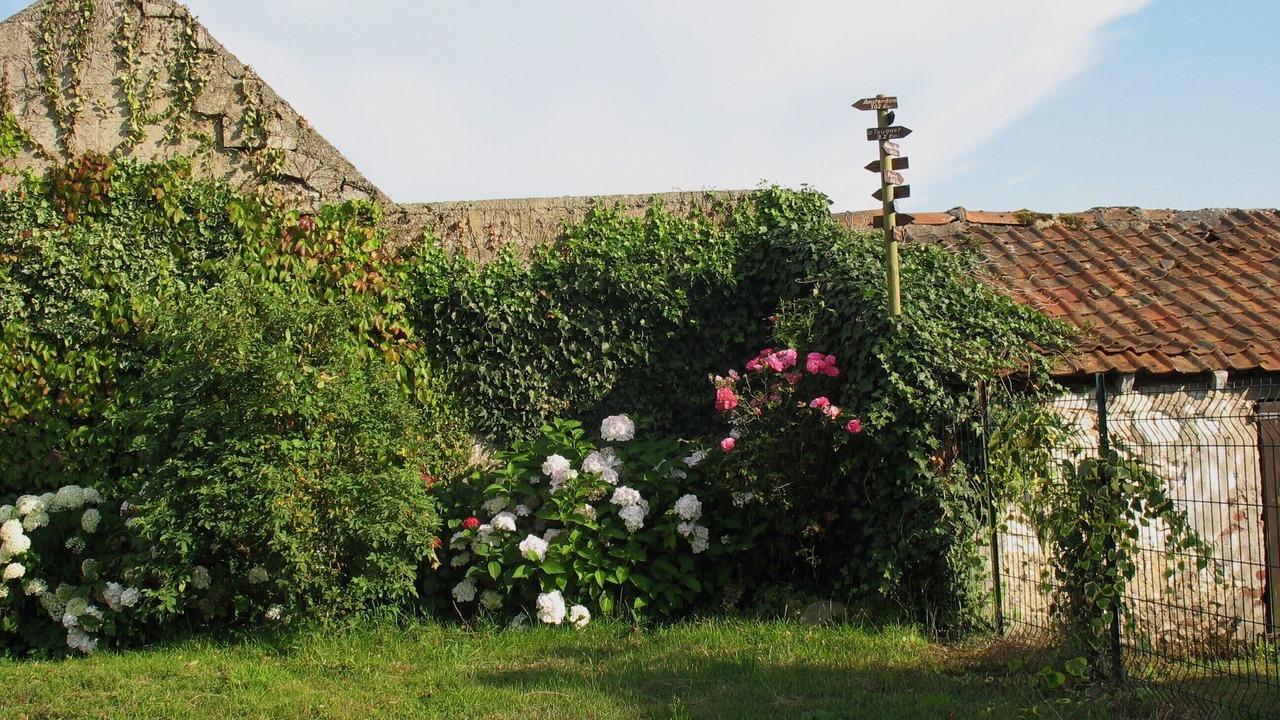 Photo of Outdoor in Widehem