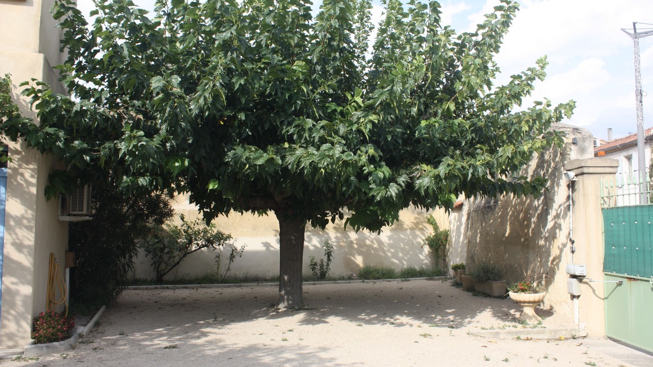 Photo of Outdoor in Sorgues