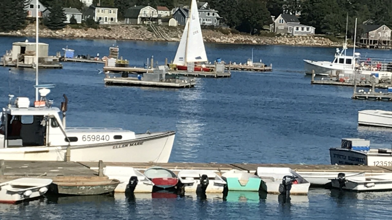 Photo of Others in Bernard