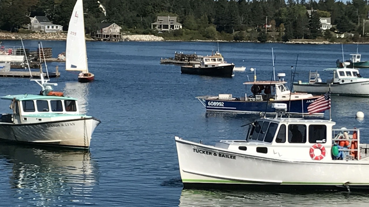 Photo of Others in Bernard
