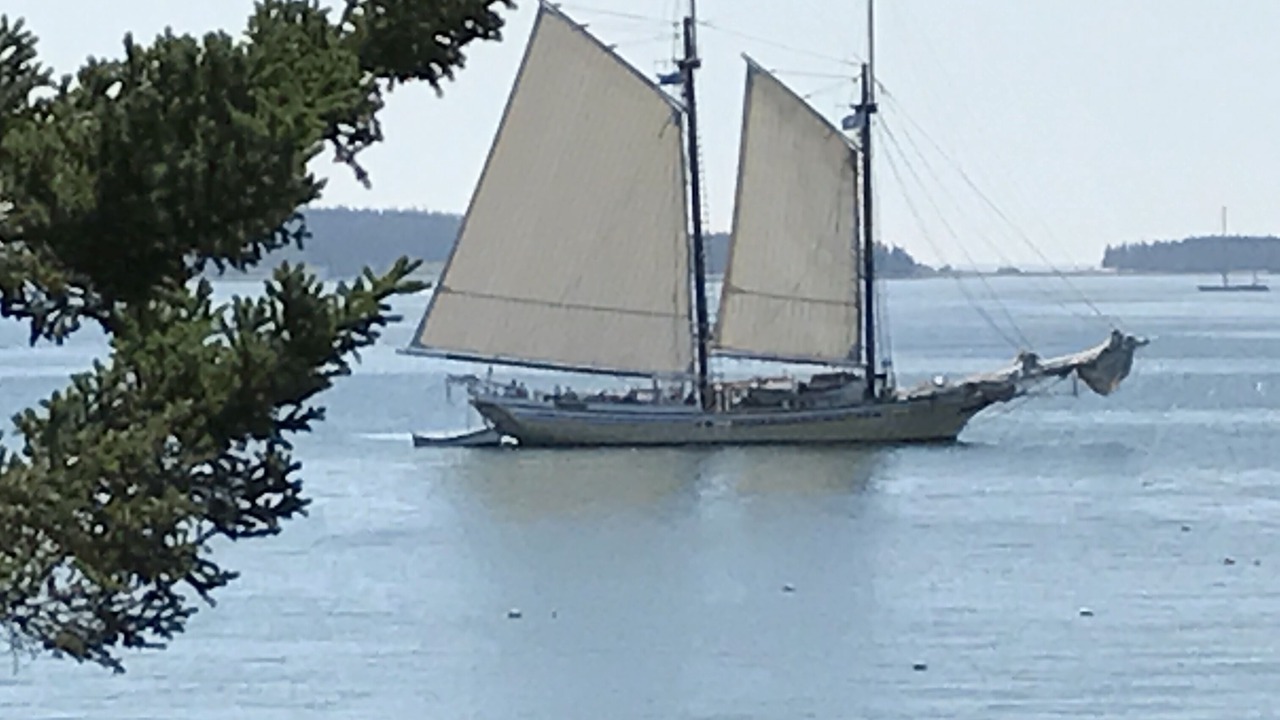 Photo of Others in Bernard