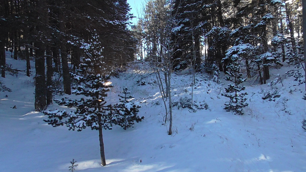Photo of Others in Formigueres