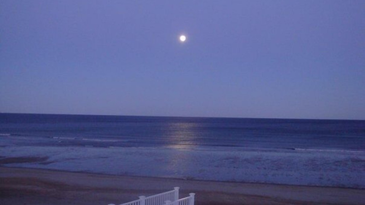 Photo of Others in Salisbury