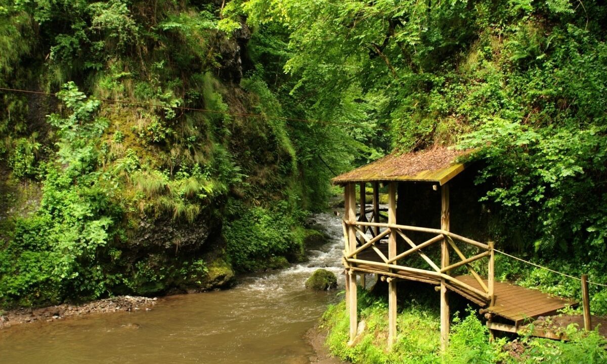 Photo of Others in Saint-Etienne-de-Carlat