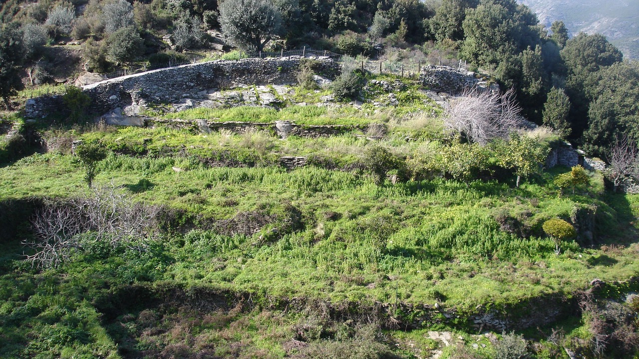Photo of Outdoor in Meria