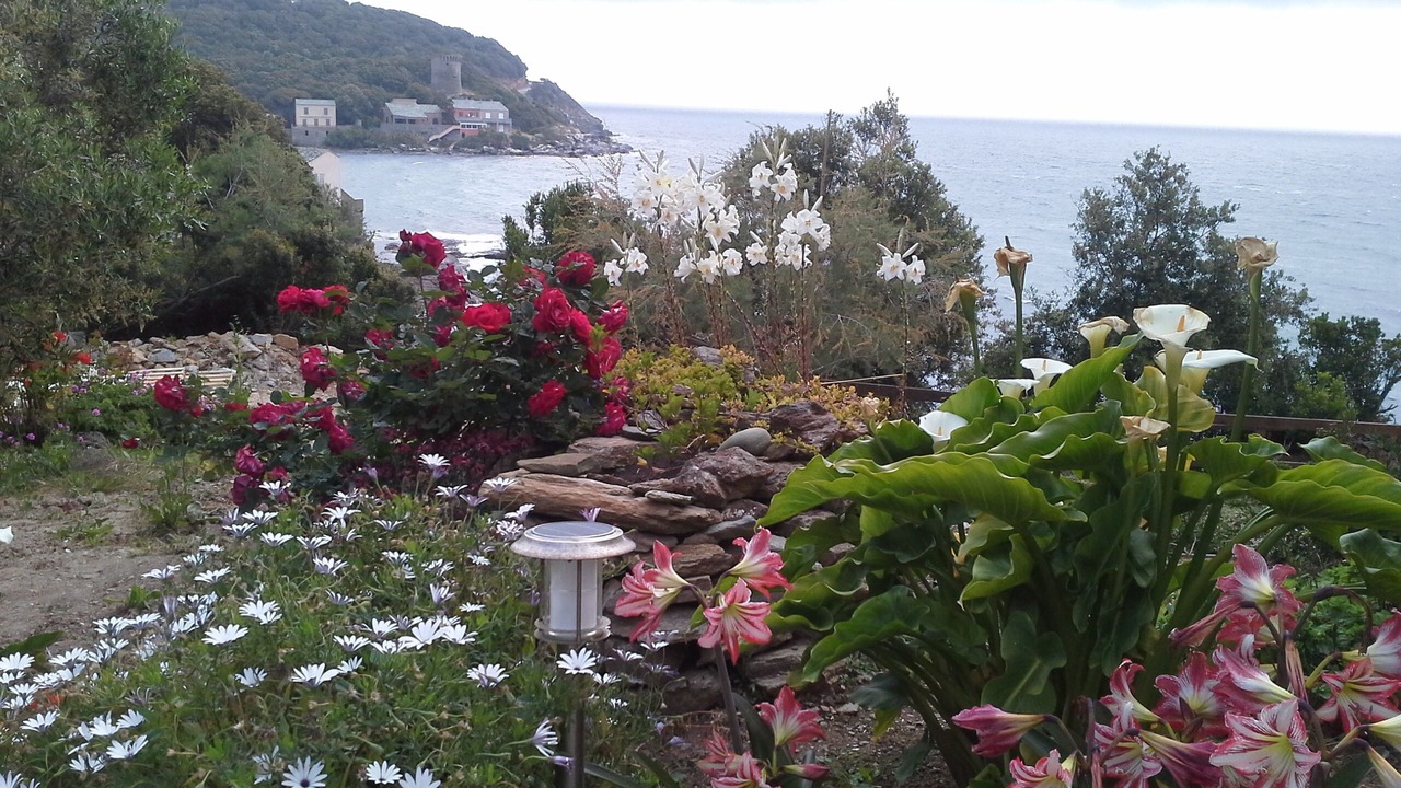 Photo of Outdoor in Meria