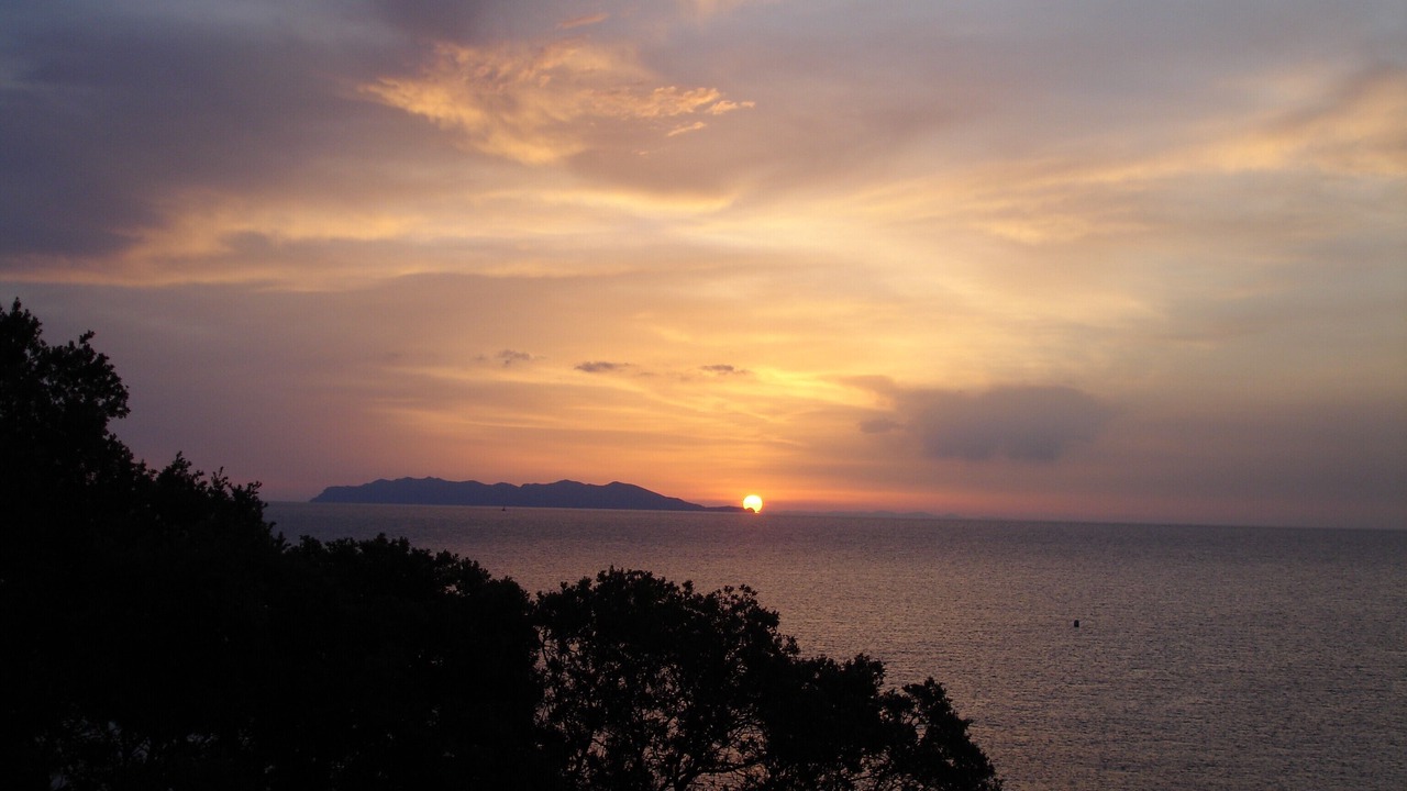 Photo of Others in Meria