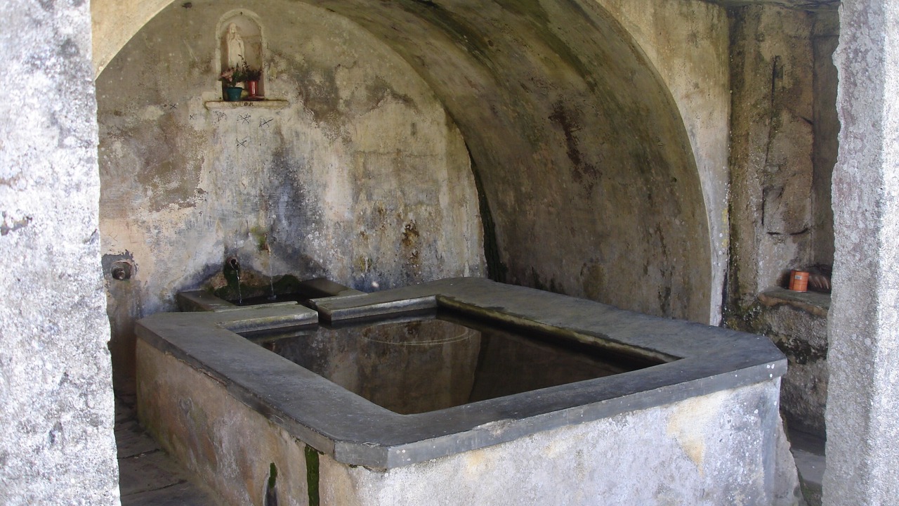 Photo of Others in Meria