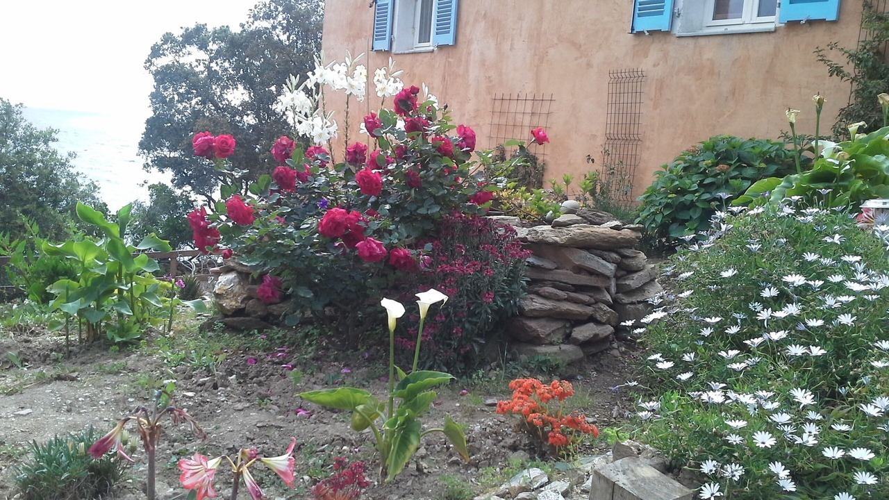 Photo of Outdoor in Meria