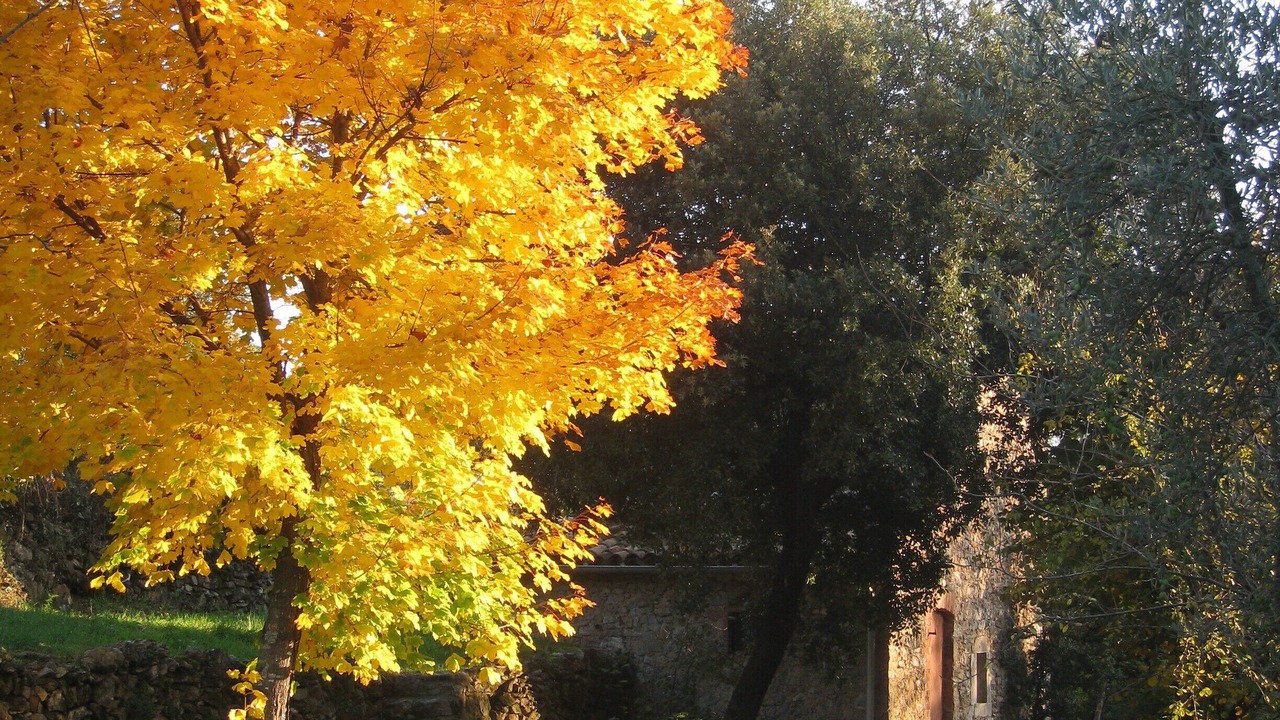 Photo of Outdoor in Boisset-et-Gaujac