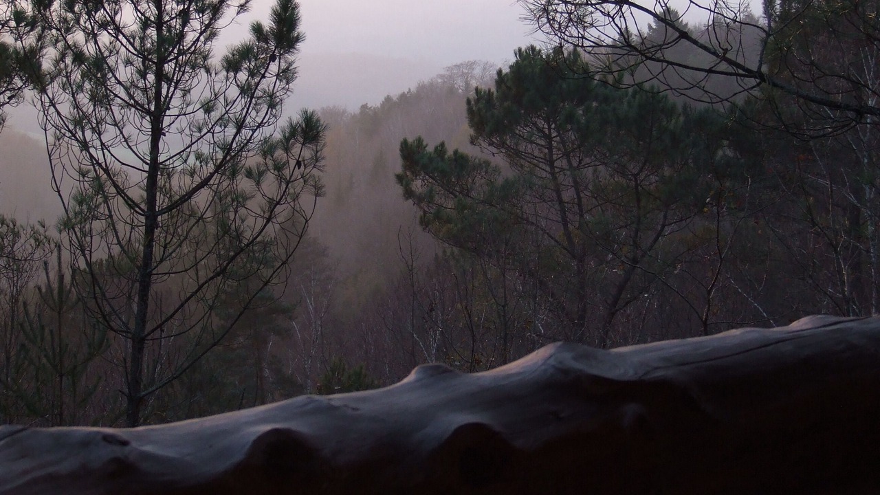 Photo of Others in Saint-Martial de Gimel