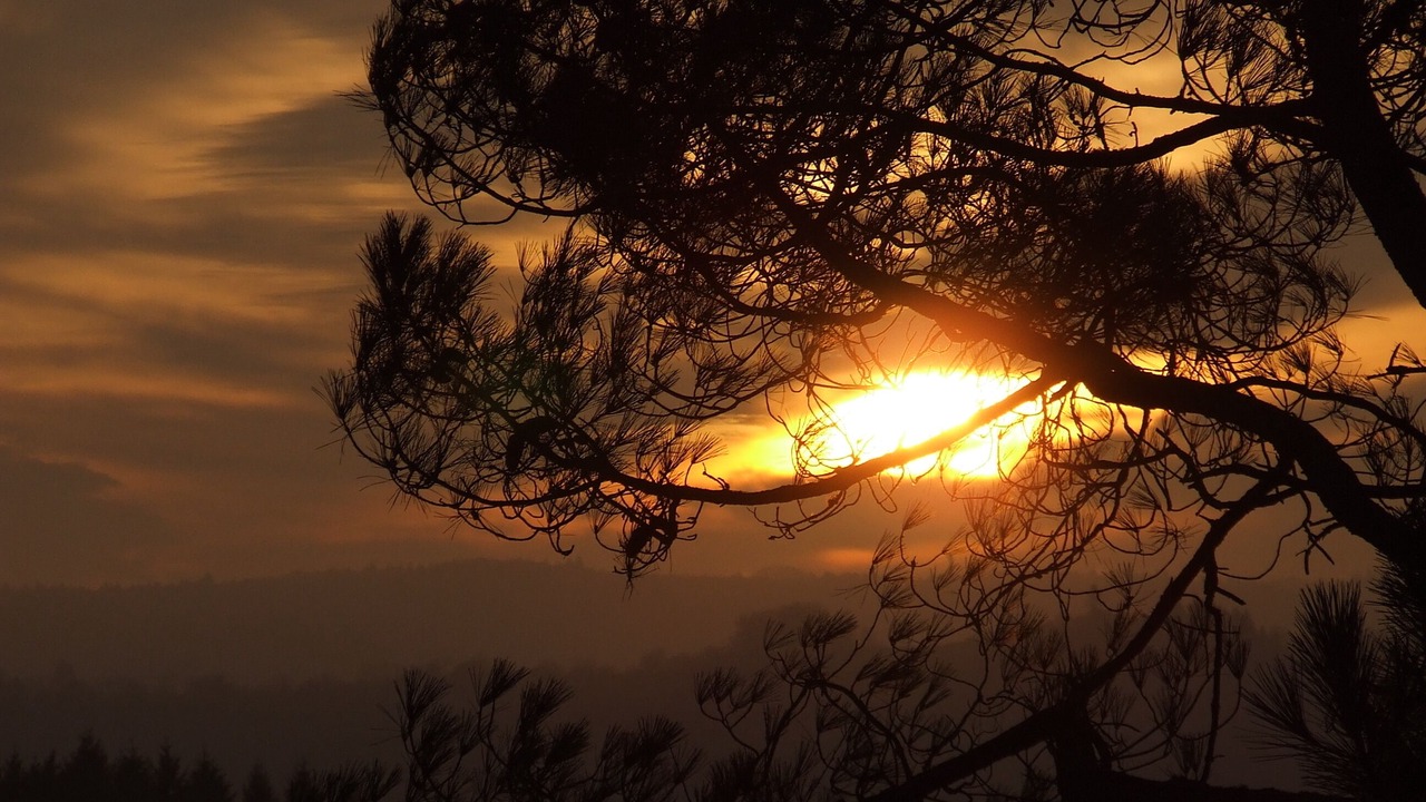Photo of Others in Saint-Martial de Gimel
