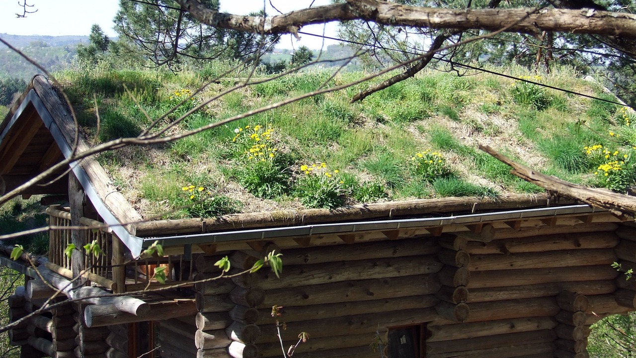 Photo of Outdoor in Saint-Martial de Gimel