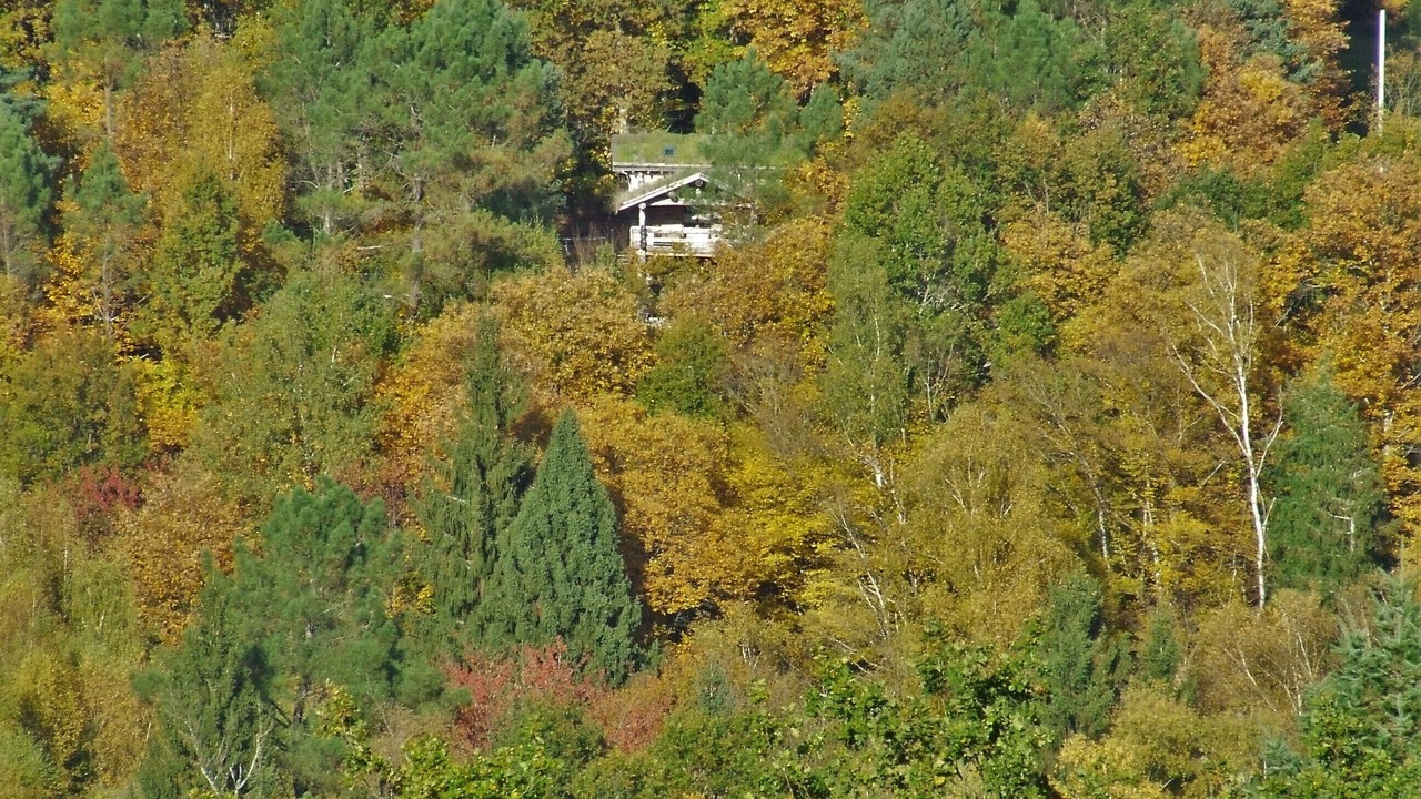 Photo of Outdoor in Saint-Martial de Gimel