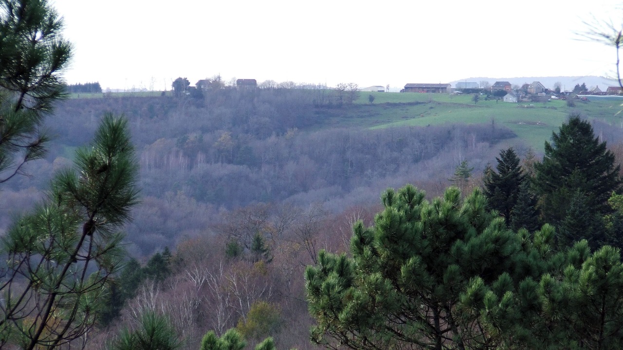 Photo of Others in Saint-Martial de Gimel