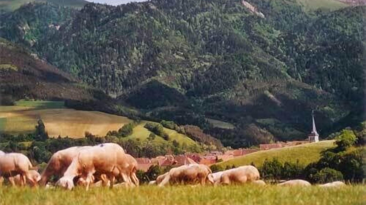 Photo of Outdoor in Lalley