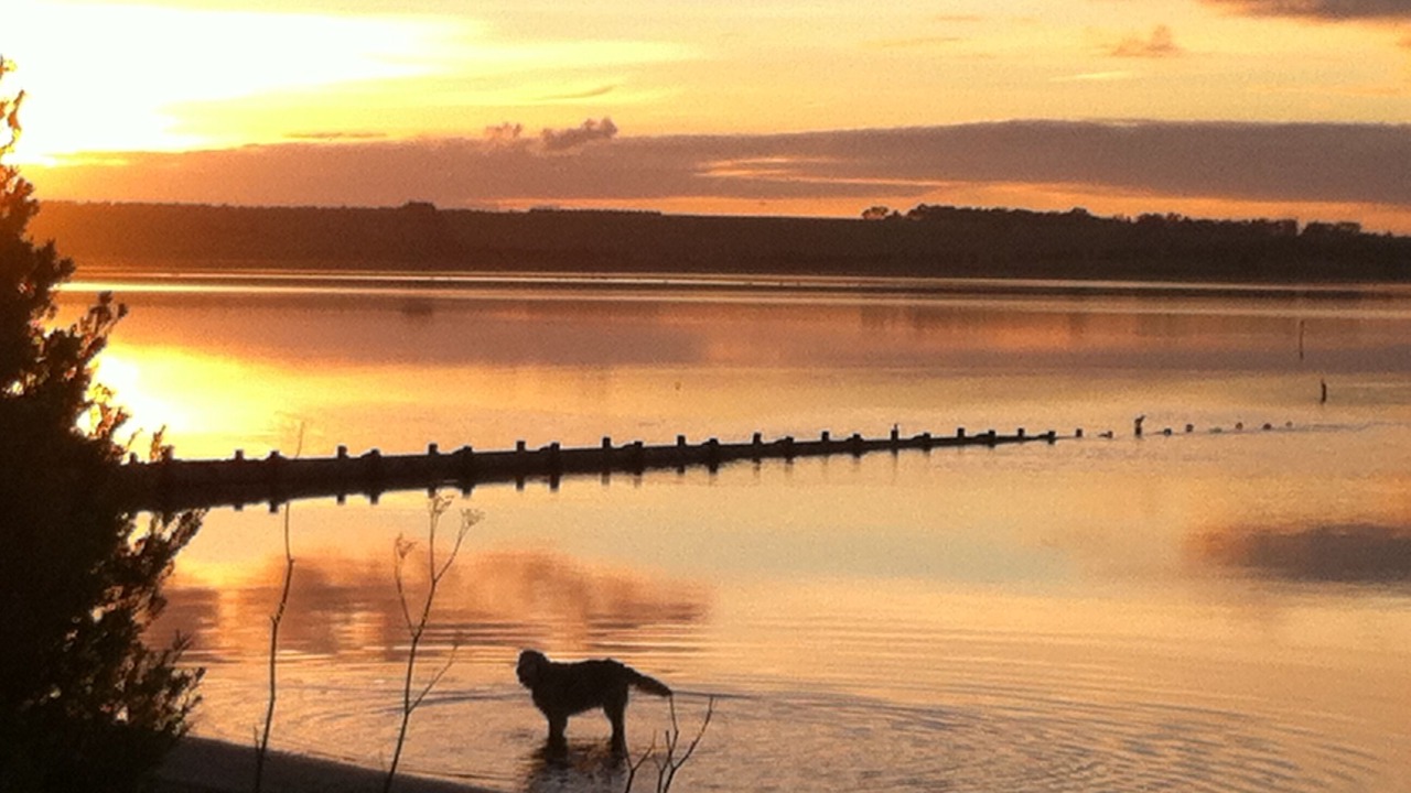 Photo of Others in Queenscliff