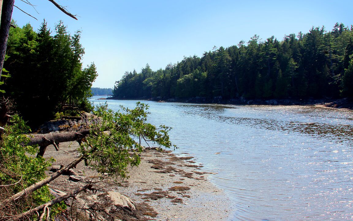 Photo of Others in Sebascodegan Island