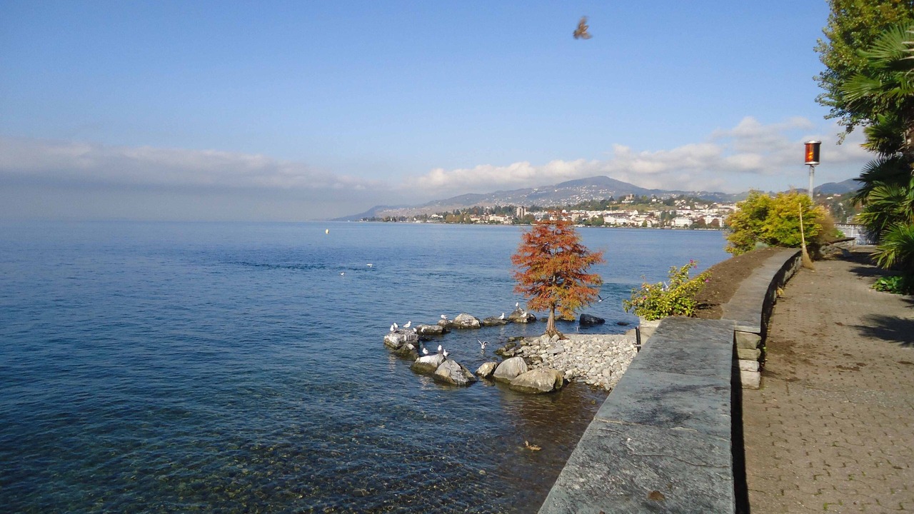Photo of Others in Montreux City Centre