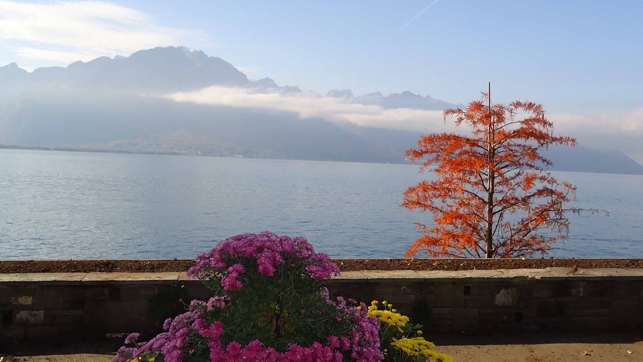Photo of Others in Montreux City Centre