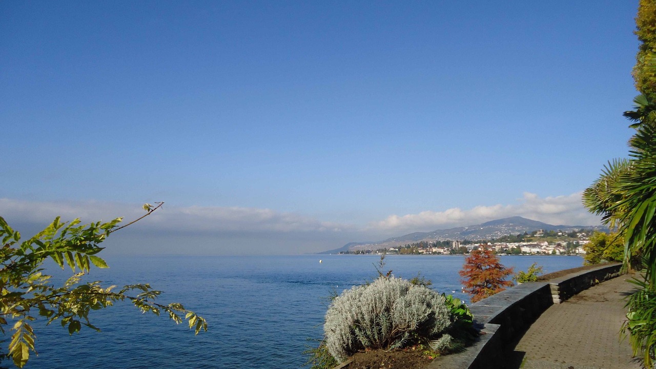 Photo of Others in Montreux City Centre
