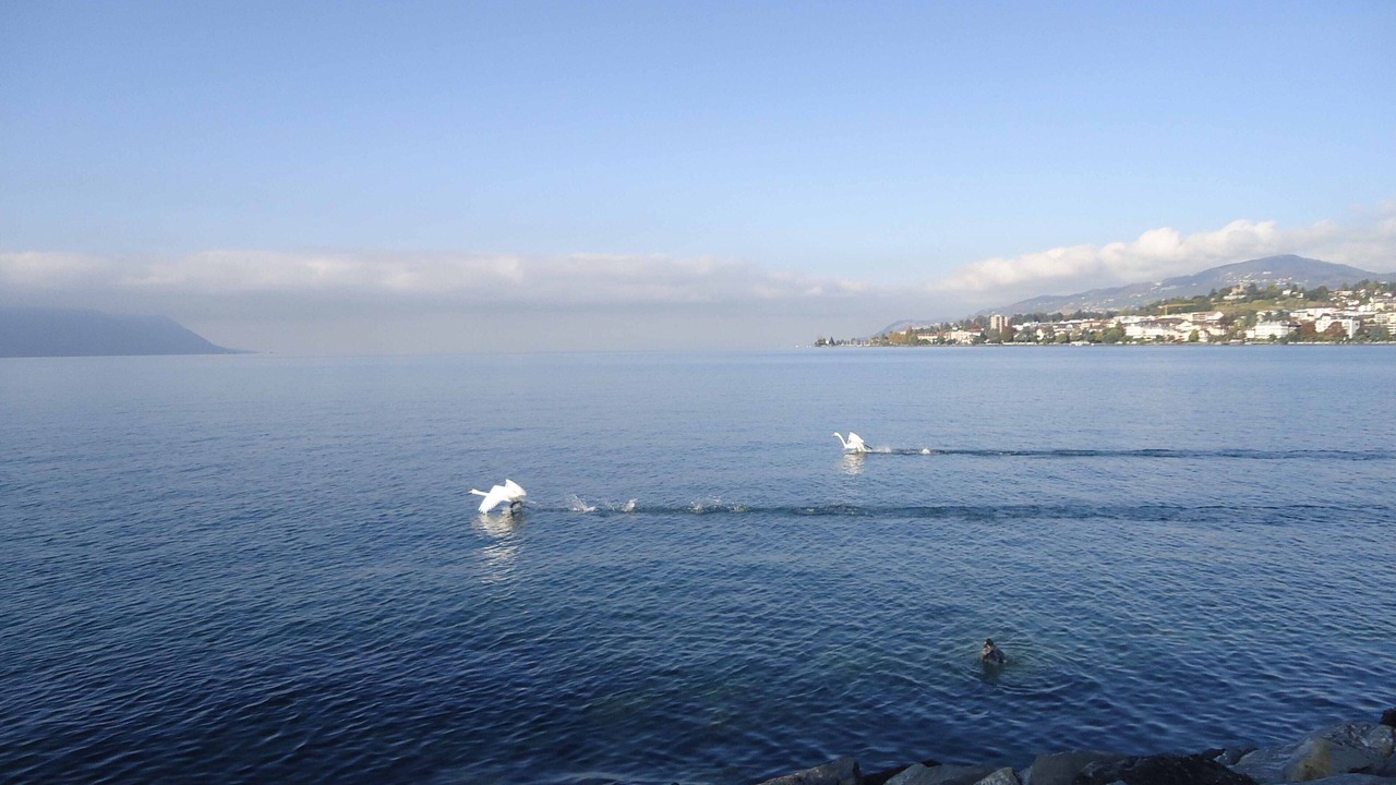 Photo of Others in Montreux City Centre