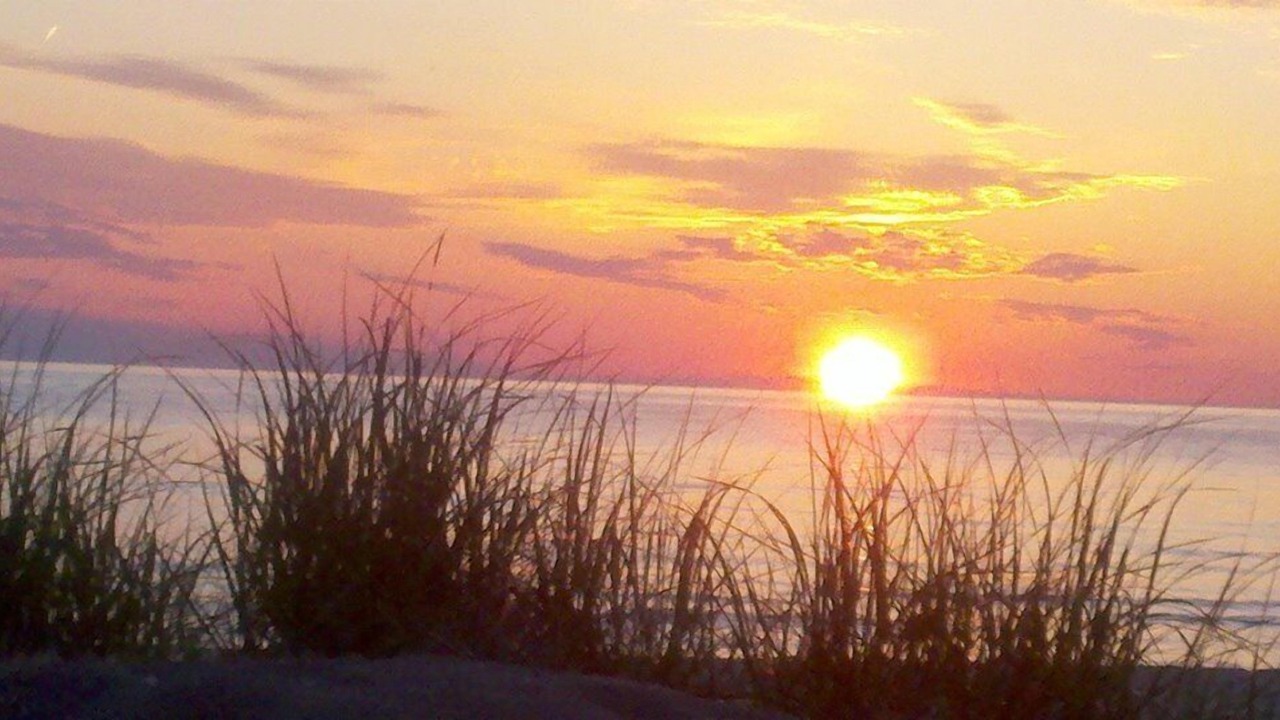 Photo of Outdoor in Port Ontario