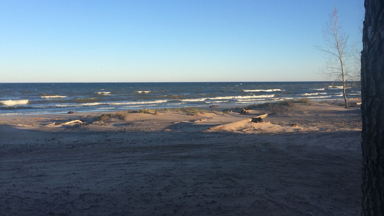 Photo of Others in Port Ontario