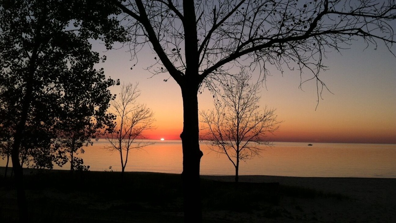 Photo of Others in Port Ontario