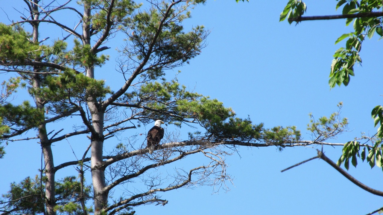 Photo of Others in Broadalbin