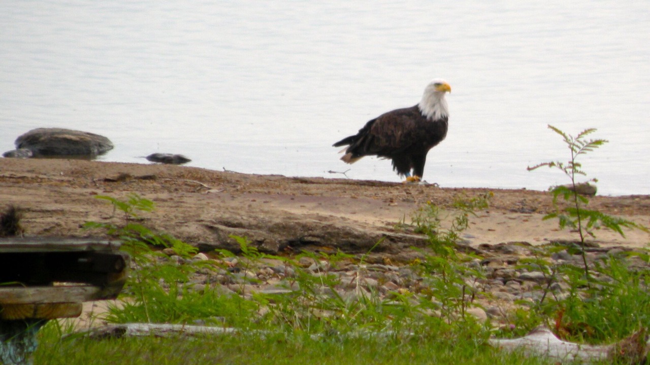 Photo of Others in Broadalbin