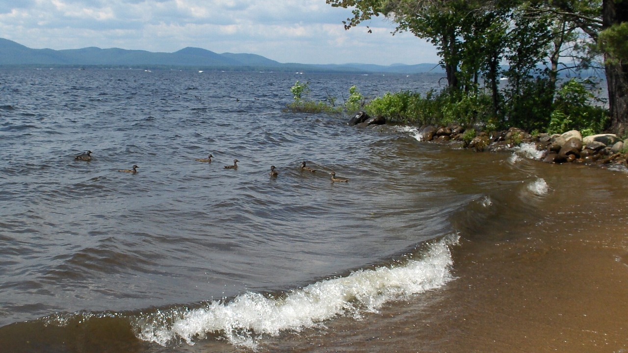 Photo of Others in Broadalbin