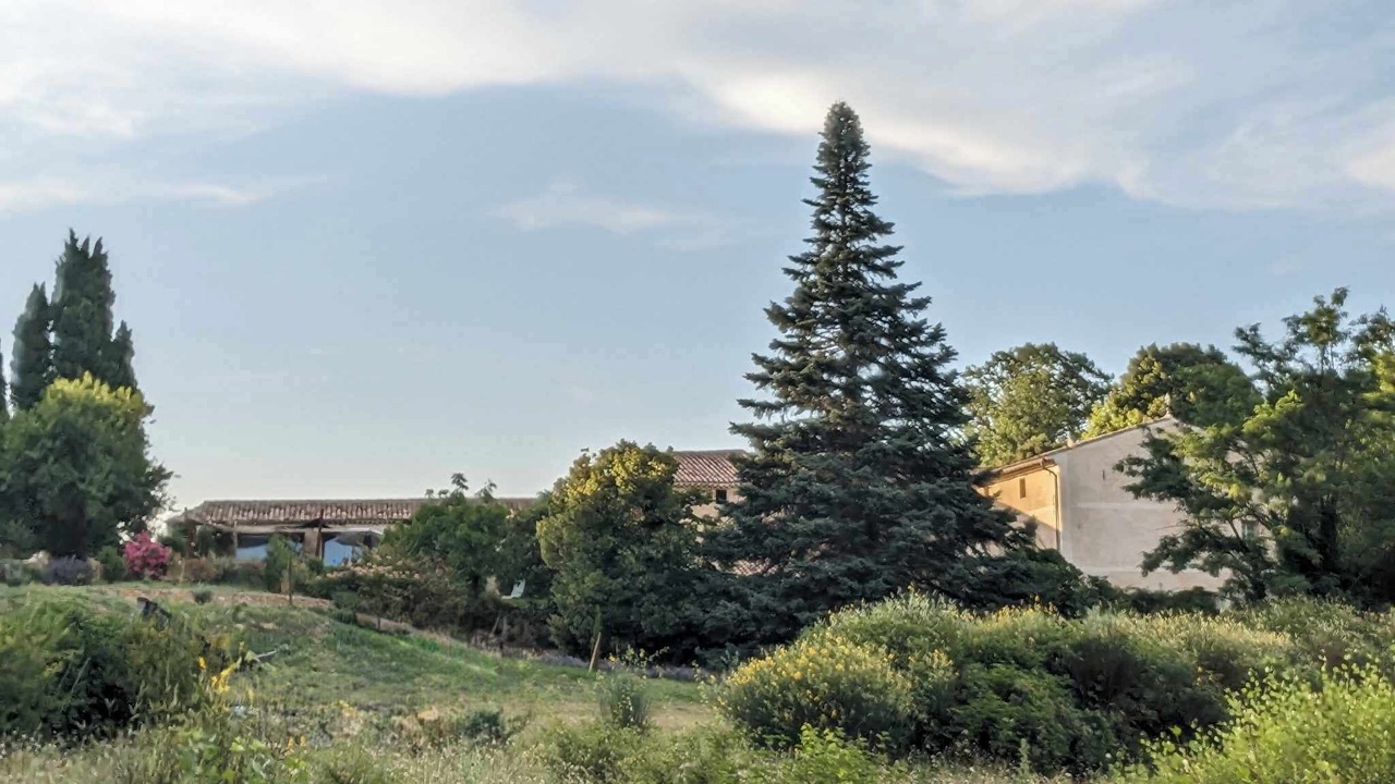 Photo of Others in Malaucene