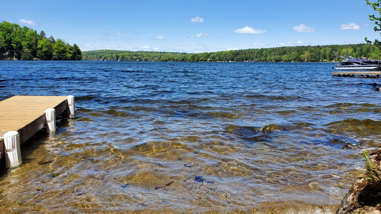 Photo of Others in Hagaman