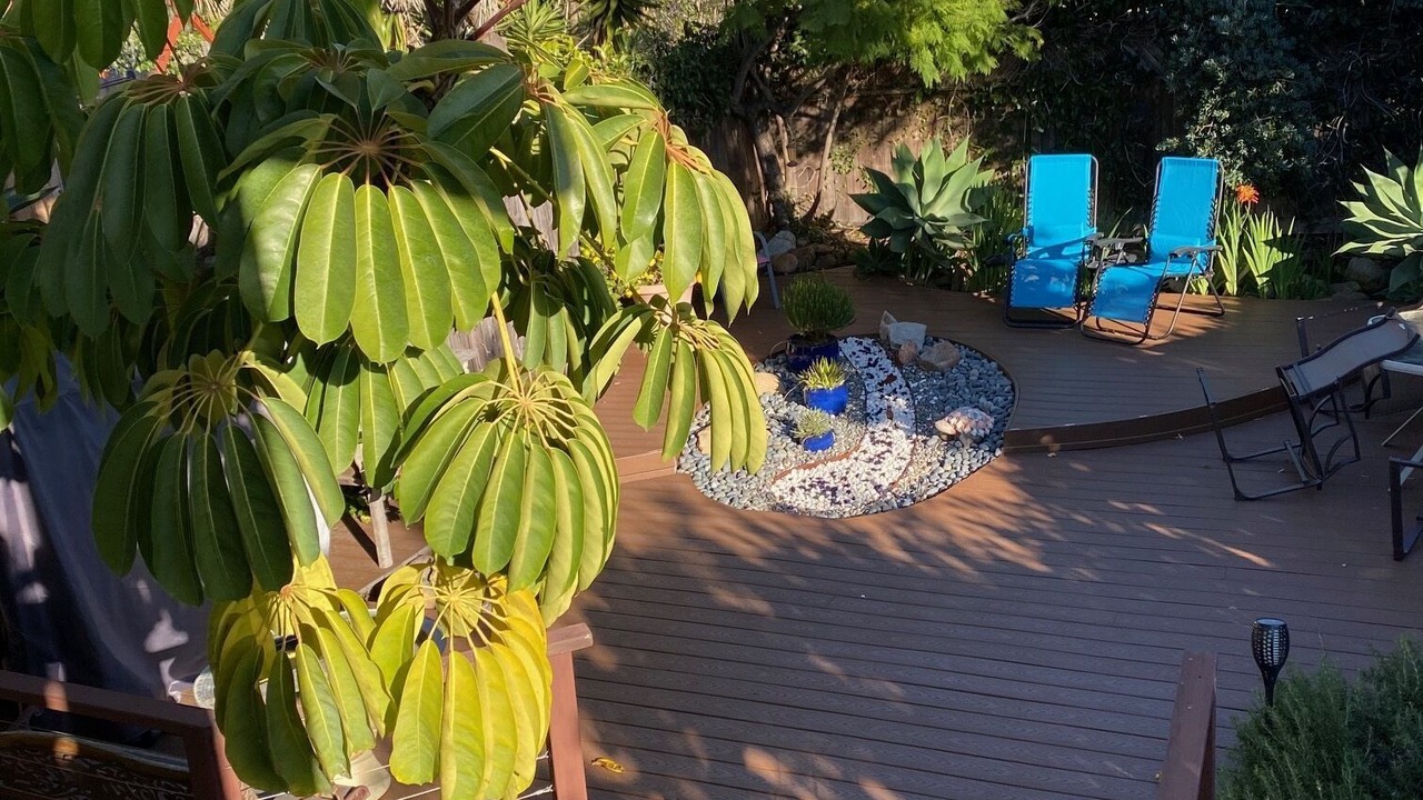 Photo of Outdoor in Bay Park