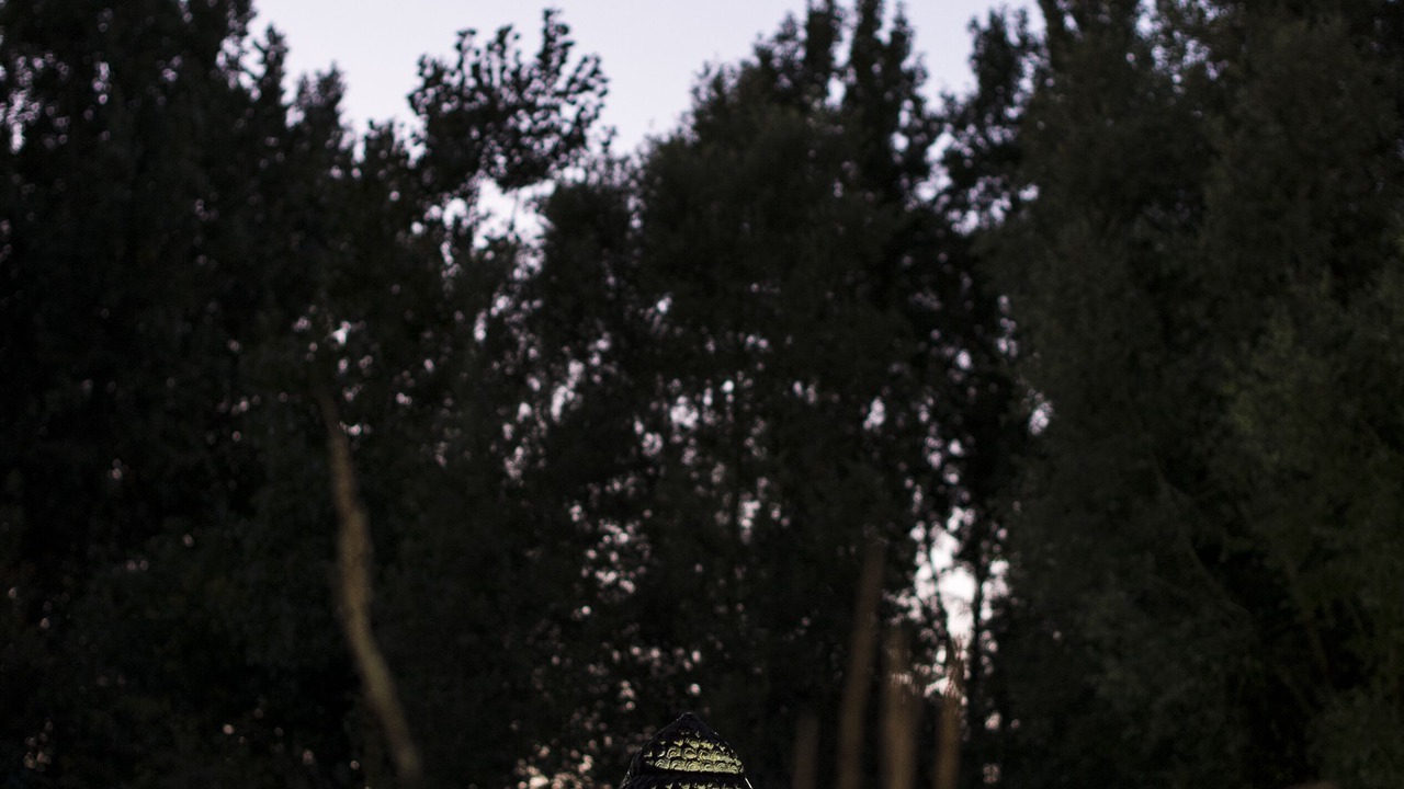 Photo of Outdoor in Gondecourt