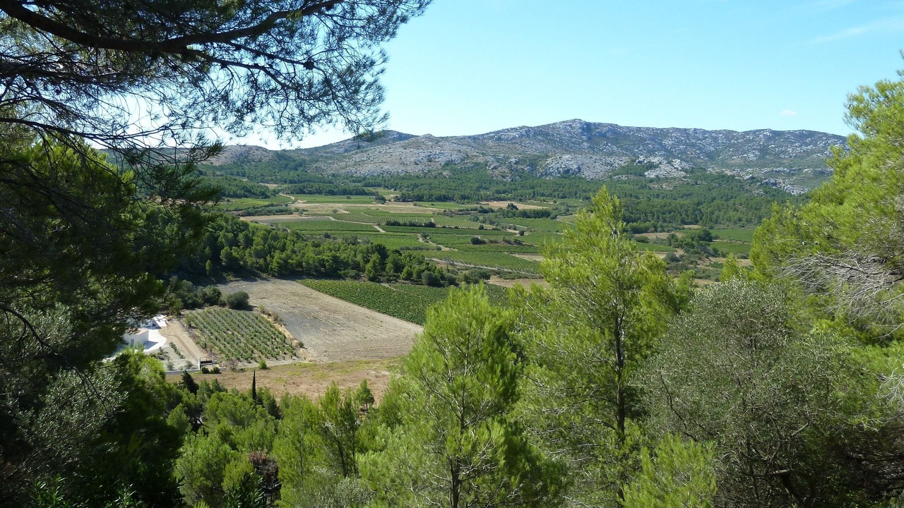 Photo of Others in Roquefort-des-Corbieres