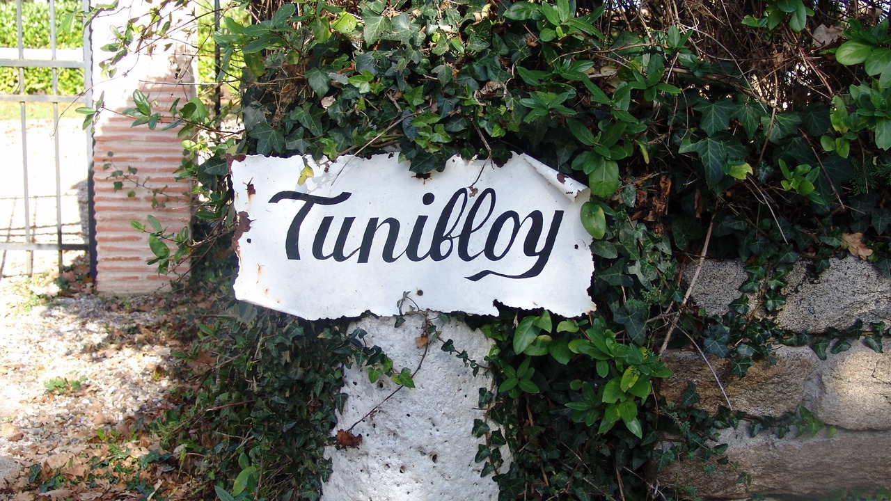 Photo of Others in Juillac