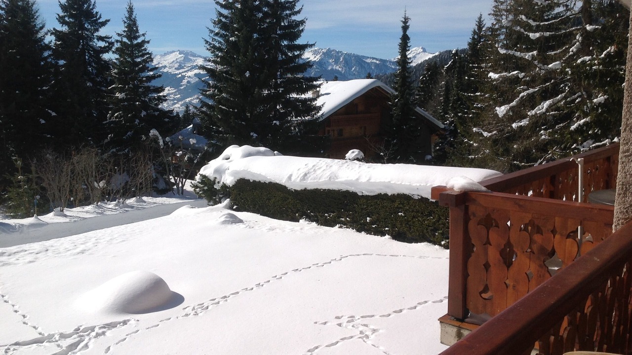 Photo of Outdoor in Villars-sur-Ollon