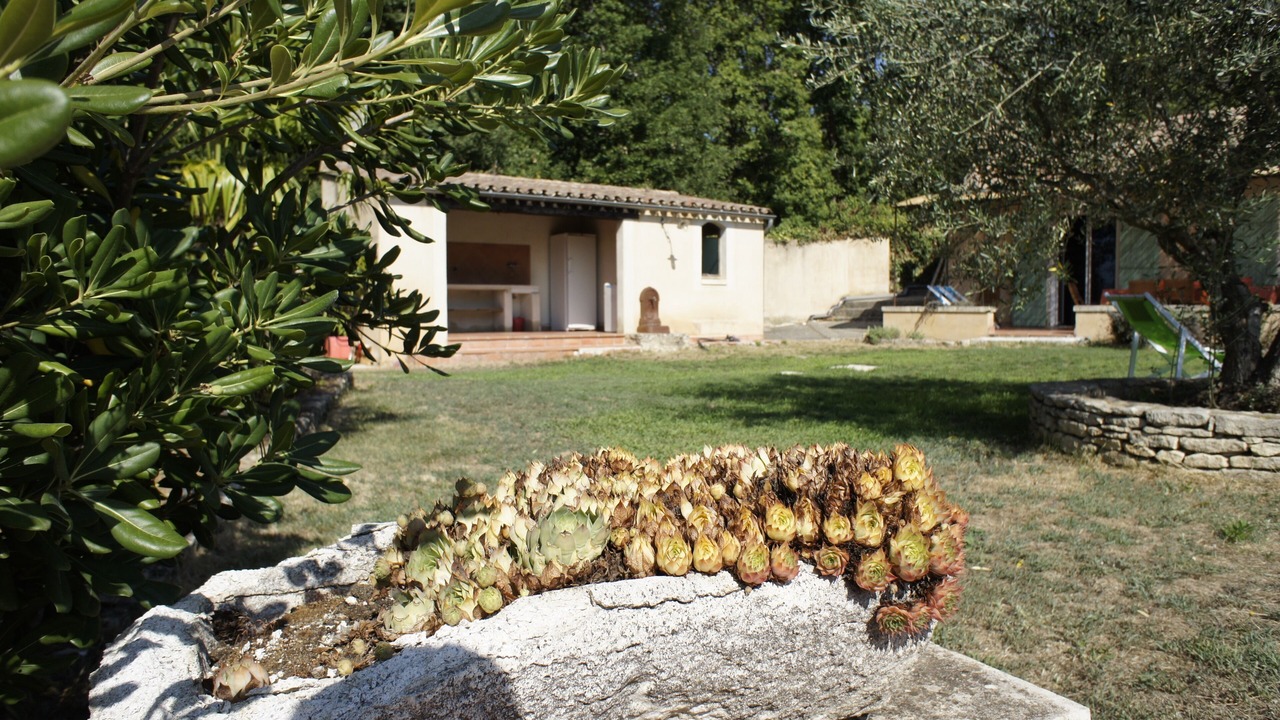 Photo of Outdoor in Saignon