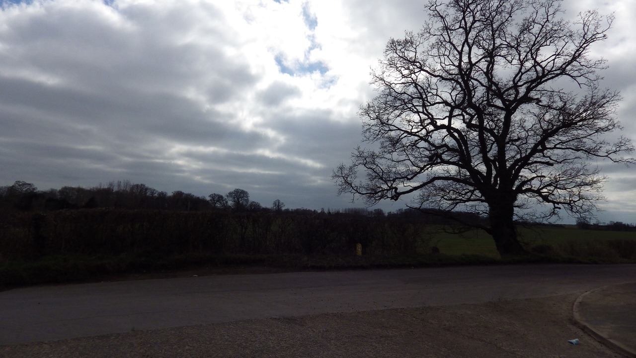 Photo of Others in Yoxford