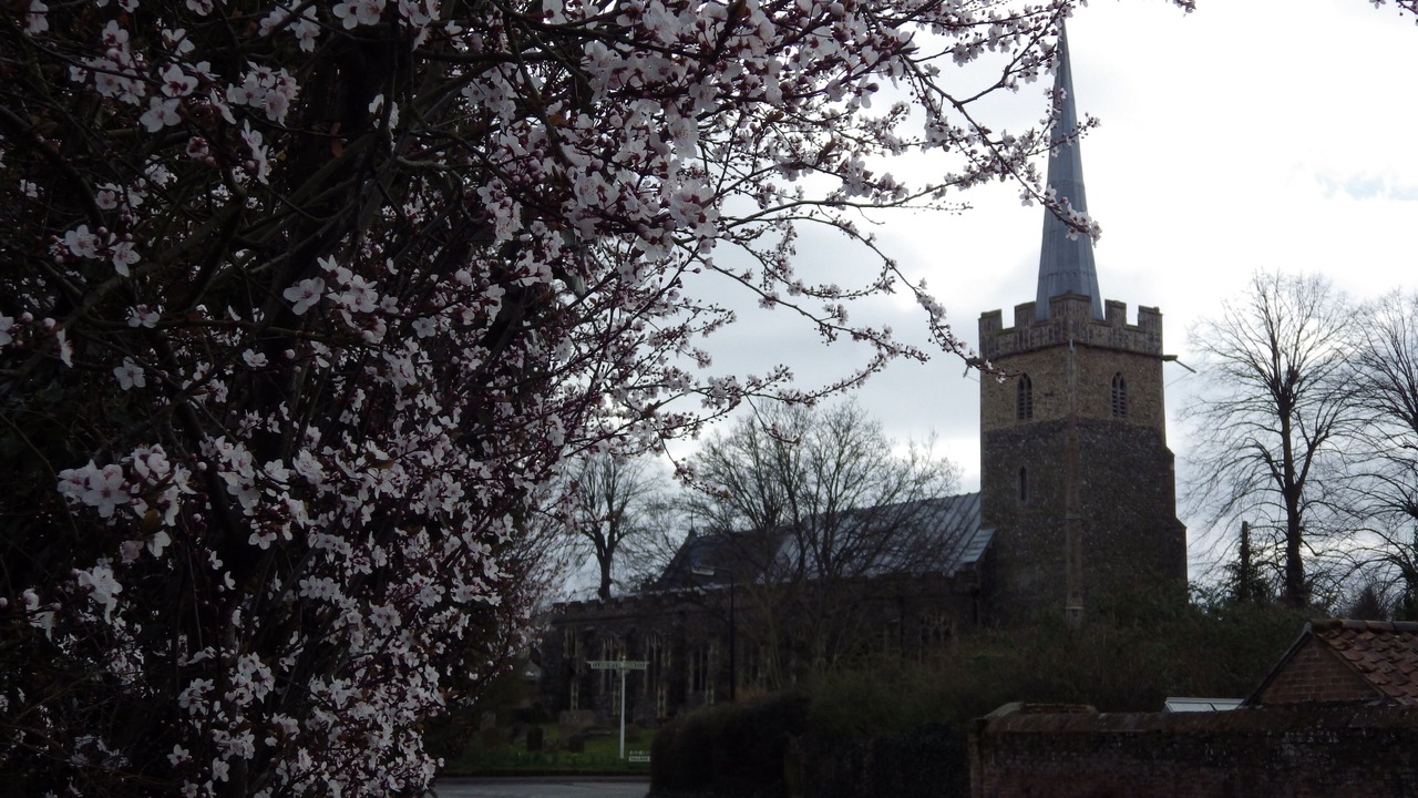 Photo of Others in Yoxford