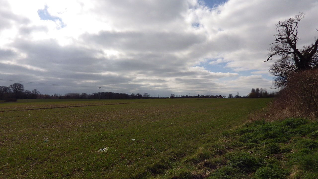 Photo of Others in Yoxford