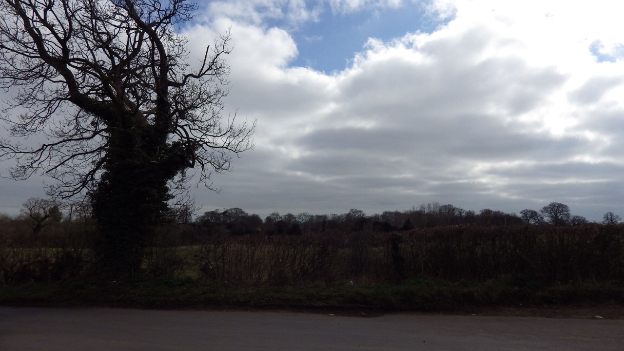 Photo of Others in Yoxford