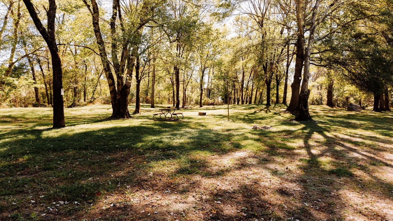 Photo of Others in Pencil Bluff